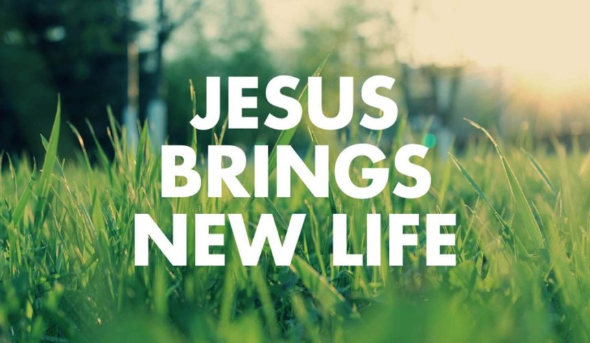 MESSAGE – Fourth Sunday in Easter – C – 8 May 2022
