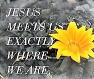 MESSAGE –  Second Sunday After Pentecost  – C  –  19 June 2022