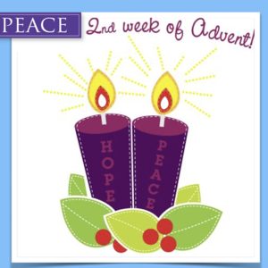 MESSAGE – Second Sunday of Advent – Year B – 10 December 2023