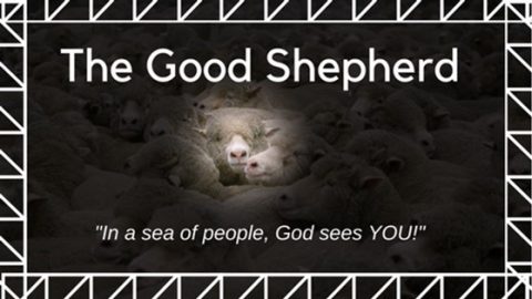 MESSAGE – Ninth Sunday after Pentecost – Year B – Sunday 21 July 2024