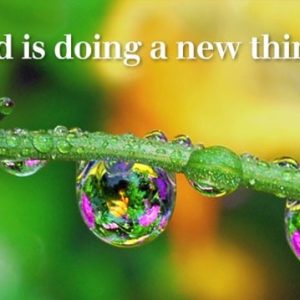SERMON – Fifth Sunday in Lent – C