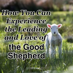 SERMON – Fourth Sunday of Easter – C