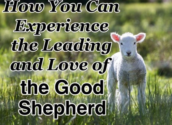 SERMON – Fourth Sunday of Easter – C