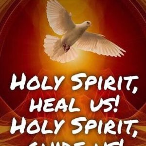 SERMON – Second Sunday after Pentecost – C